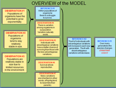 Overview of a model