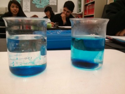 Students looking at two beakers of water with food coloring.  In the first beaker the food coloring is not spread out, and the second beaker the food coloring is spread out.  