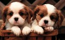 So who's cuter now??