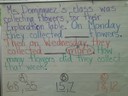 Strategy Shared by UCLA Community School