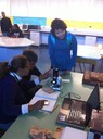 Picture 2 students