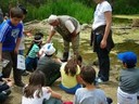 Creek Restoration 2011