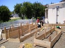 Building Garden Beds