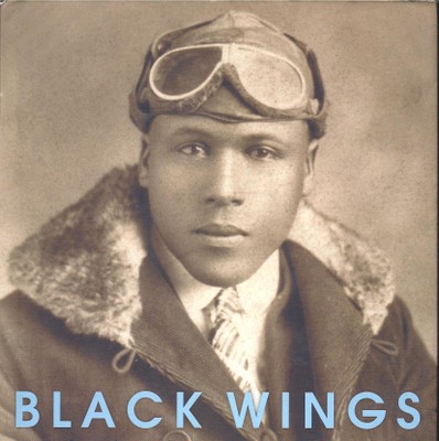 Black Wings Book Cover