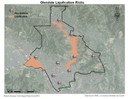 Liquefaction Risks