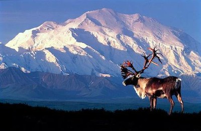 Mt.McKinley