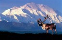 Mt.McKinley