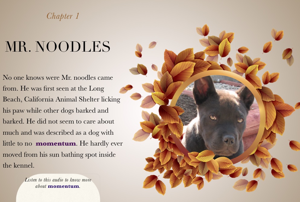 ibook_noodles