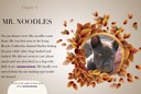 ibook_noodles